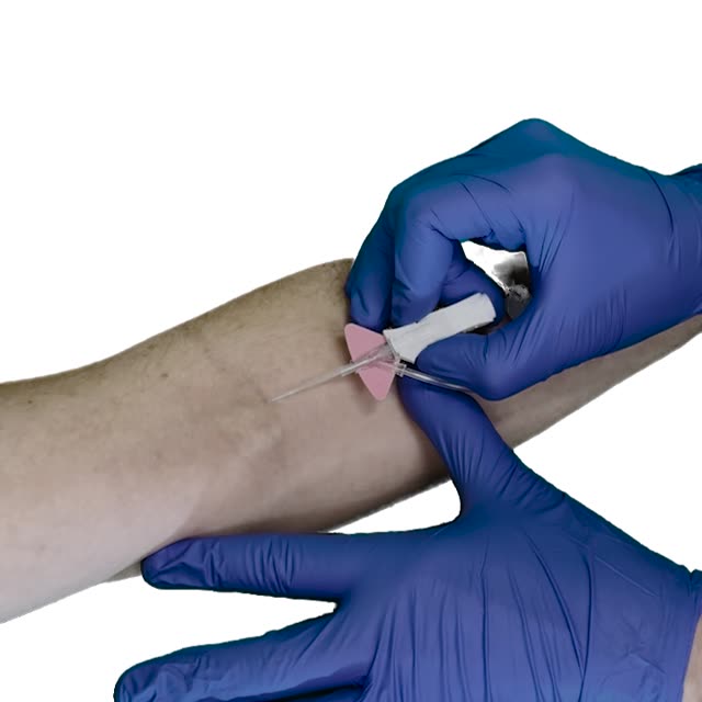 Short clip of a peripheral IV being inserted